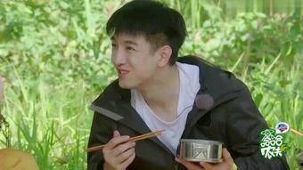 农夫偷香记在线观看,一场别开生面的田园奇遇  第3张